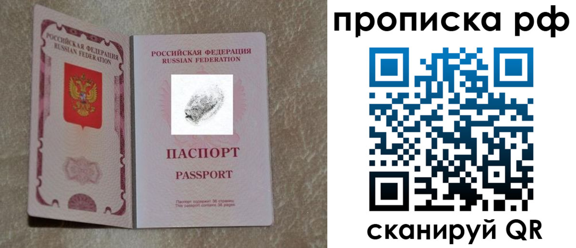 прописка поиск в Оленегорске